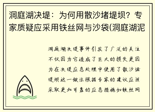 洞庭湖决堤：为何用散沙堵堤坝？专家质疑应采用铁丝网与沙袋(洞庭湖泥沙)