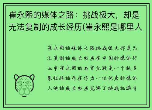 崔永熙的媒体之路：挑战极大，却是无法复制的成长经历(崔永熙是哪里人)