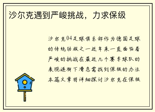 沙尔克遇到严峻挑战，力求保级