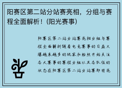 阳赛区第二站分站赛亮相，分组与赛程全面解析！(阳光赛事)