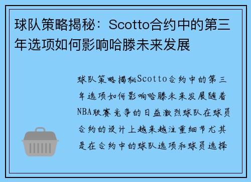 球队策略揭秘：Scotto合约中的第三年选项如何影响哈滕未来发展