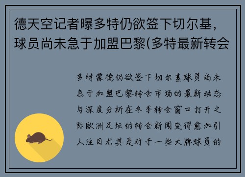德天空记者曝多特仍欲签下切尔基，球员尚未急于加盟巴黎(多特最新转会)